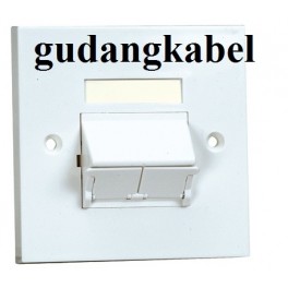 PANDUIT NET-KEY Face Plate NK 2Port, Sloped, Shuttered Faceplate kit with label, NKUKS2SAW